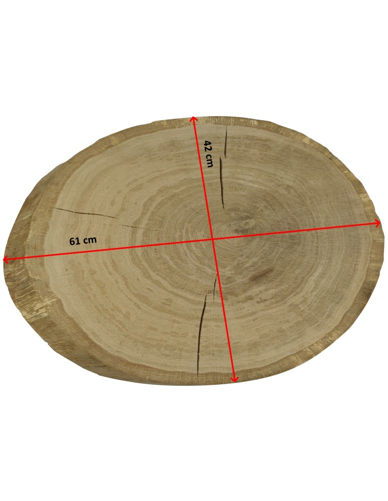 Plastry Drewna - Okorowany Plaster Dębu 61x42 cm/ gr. 6 cm/ Szlifowany Unikat 123509 - produkt b2b.wamar.biz 2