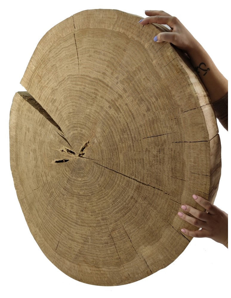 Plastry Drewna - Okorowany Plaster Dębu 90x80 cm/ gr. 9 cm/ Szlifowany Unikat 114741 - product b2b.wamar.biz 1