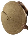 Okorowany Plaster Dębu 90x80 cm/ gr. 9 cm/ Szlifowany Unikat 114741