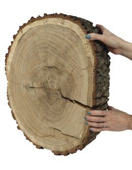 Plaster Dębu 60x53 cm/ gr. 12 cm/ Szlifowany z Korą Unikat 145441