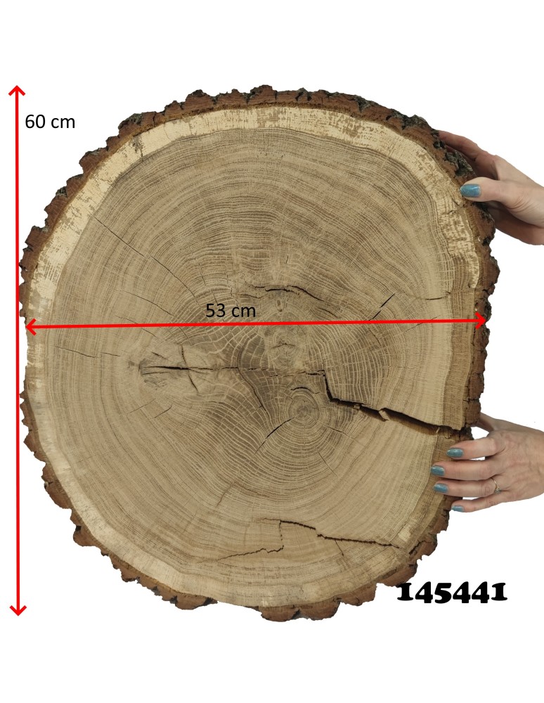 Plastry Drewna - Plaster Dębu 60x53 cm/ gr. 12 cm/ Szlifowany z Korą Unikat 145441 - produkt b2b.wamar.biz 2