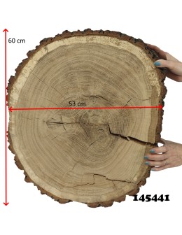 Plaster Dębu 60x53 cm/ gr. 12 cm/ Szlifowany z Korą Unikat 145441 - product 2