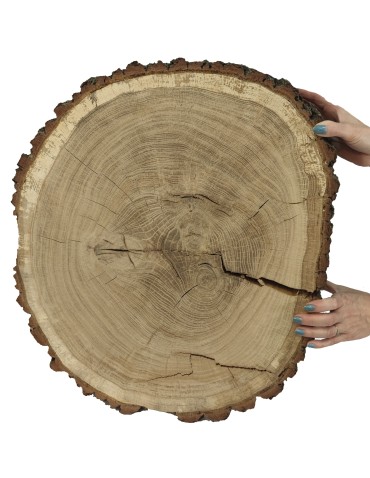 Plastry Drewna - Plaster Dębu 60x53 cm/ gr. 12 cm/ Szlifowany z Korą Unikat 145441 - produkt 3