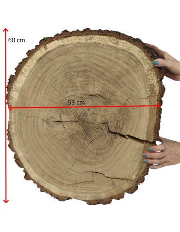 Plastry Drewna - Plaster Dębu 60x53 cm/ gr. 12 cm/ Szlifowany z Korą Unikat 145441 - produkt 4