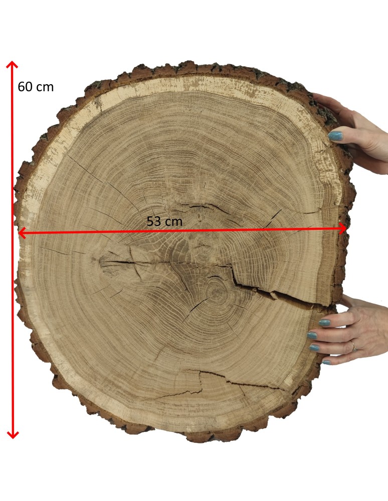 Plastry Drewna - Plaster Dębu 60x53 cm/ gr. 12 cm/ Szlifowany z Korą Unikat 145441 - produkt b2b.wamar.biz 4