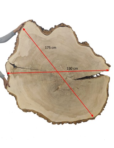 Plastry Drewna - Plaster Topoli 175x150 cm/ gr. 12 cm/ Szlifowany z Korą Unikat 113939 - product 3