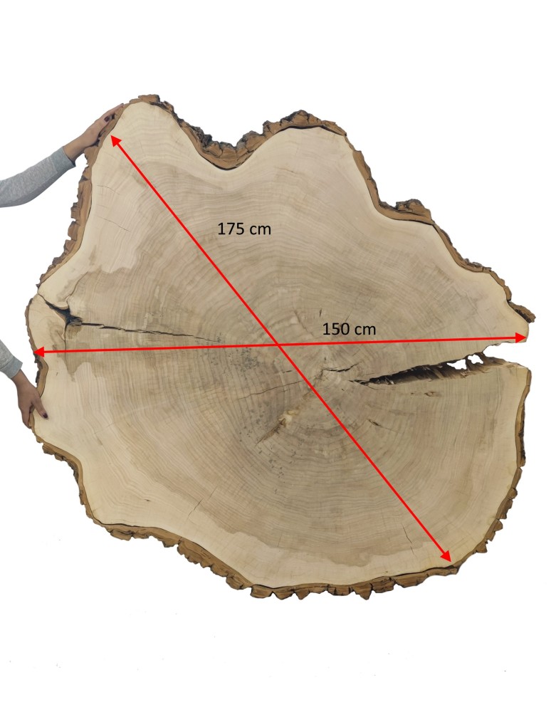 Plastry Drewna - Plaster Topoli 175x150 cm/ gr. 12 cm/ Szlifowany z Korą Unikat 113939 - product b2b.wamar.biz 3