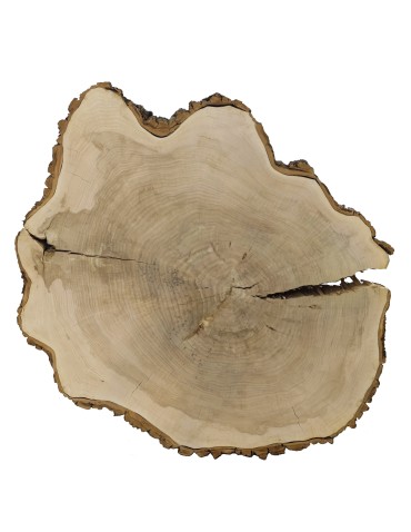 Plaster Topoli 175x150 cm/ gr. 12 cm/ Szlifowany z Korą Unikat 113939 - product 2