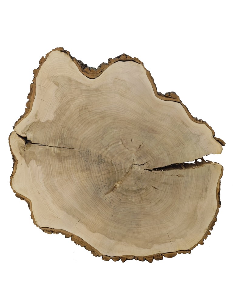 Plastry Drewna - Plaster Topoli 175x150 cm/ gr. 12 cm/ Szlifowany z Korą Unikat 113939 - product b2b.wamar.biz 2