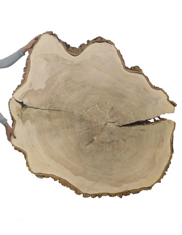 Plaster Topoli 175x150 cm/ gr. 12 cm/ Szlifowany z Korą Unikat 113939