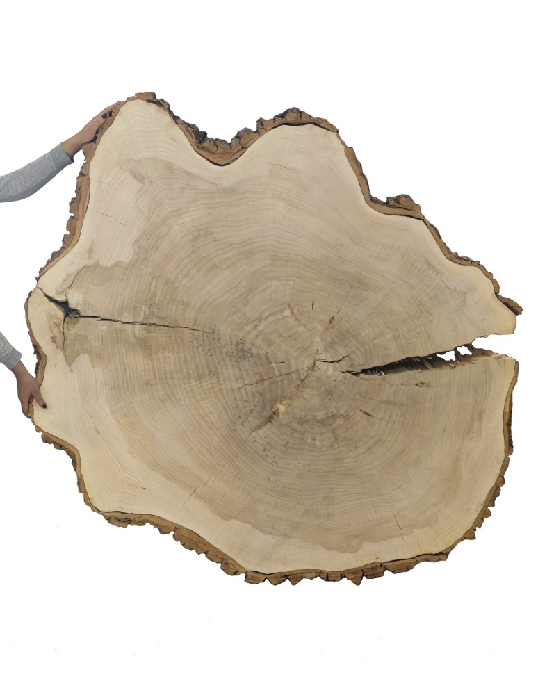Plastry Drewna - Plaster Topoli 175x150 cm/ gr. 12 cm/ Szlifowany z Korą Unikat 113939 - product b2b.wamar.biz 1