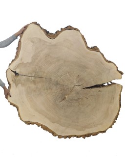 Plaster Topoli 175x150 cm/ gr. 12 cm/ Szlifowany z Korą Unikat 113939