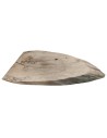 Okorowany Plaster Topoli 98x48 cm/ gr. 5 cm/ Szlifowany Unikat 135949