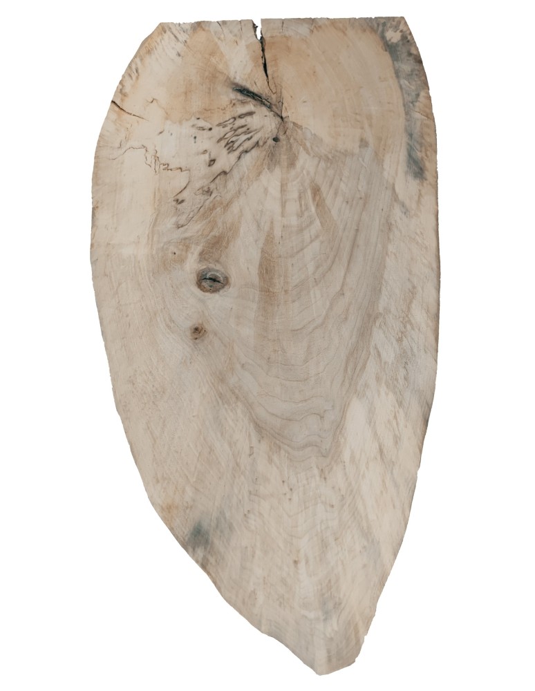 Plastry Drewna - Okorowany Plaster Topoli 98x48 cm/ gr. 5 cm/ Szlifowany Unikat 135949 - product b2b.wamar.biz 2