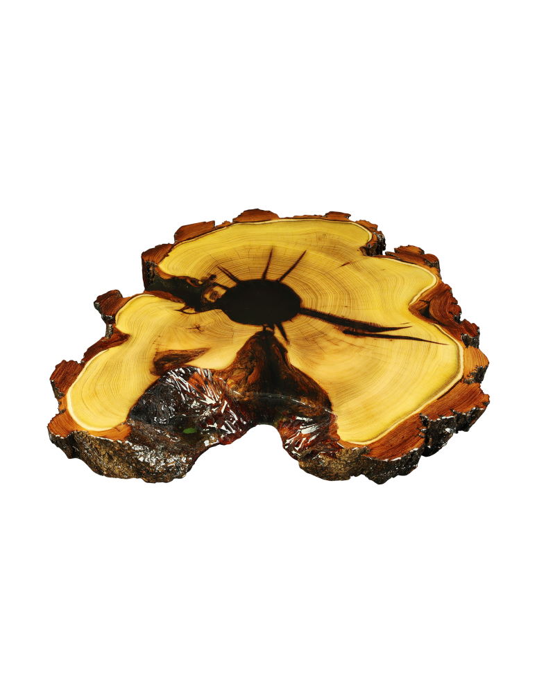 Plastry Drewna - Blat żywiczny Plaster na stół z żywicy epoksydowej / Unikat 072522 - product b2b.wamar.biz 1