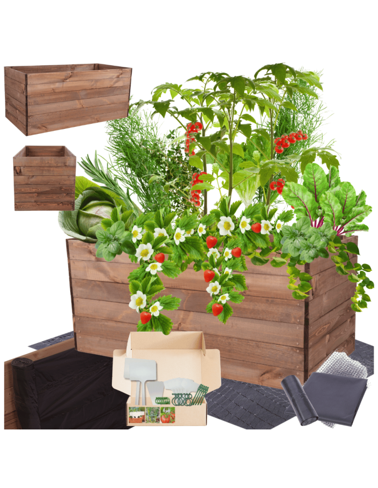 Uprawowe skrzynie ogrodowe- Warzywniaki- skrzynia do uprawy - Skrzynia na warzywa skrzynie na warzywniak inspekt donica grządka 54x120x60 - product b2b.wamar.biz 1