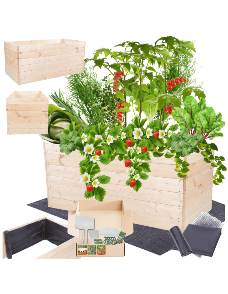 Uprawowe skrzynie ogrodowe- Warzywniaki- skrzynia do uprawy - Skrzynia na warzywa skrzynie na warzywniak inspekt donica grządka 54x120x80 - product b2b.wamar.biz 1