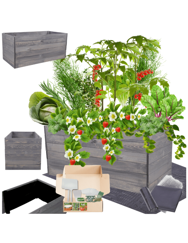 Uprawowe skrzynie ogrodowe- Warzywniaki- skrzynia do uprawy - Skrzynia na warzywa skrzynie na warzywniak inspekt donica grządka 54x120x80 - product b2b.wamar.biz 1