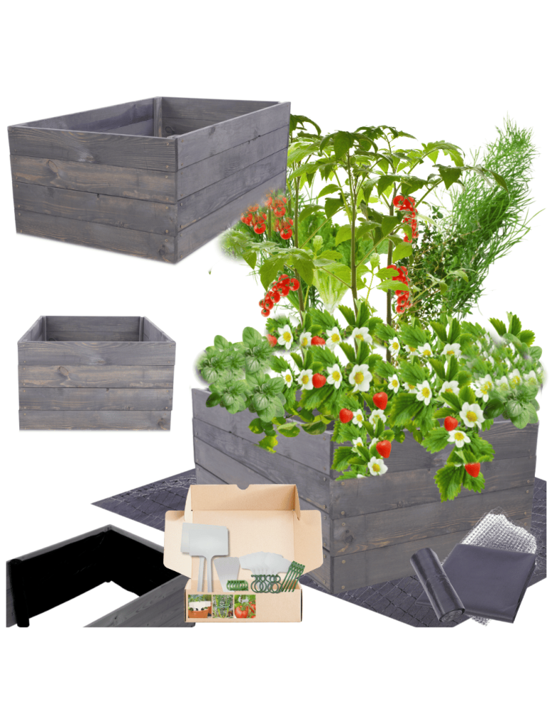 Uprawowe skrzynie ogrodowe- Warzywniaki- skrzynia do uprawy - Skrzynia na warzywa skrzynie na warzywniak inspekt donica grządka 36x63x60 - product b2b.wamar.biz 1
