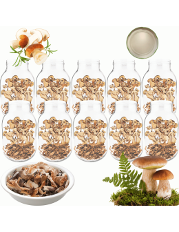 Słoiki 3000ml 3l na ogórki soki suszone grzyby nalewki 10sztuk 100mm PZH