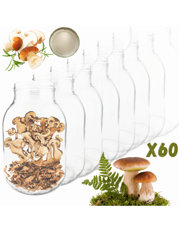 Słoiki 3000ml 3l na ogórki soki suszone grzyby nalewki 60sztuk 100mm PZH
