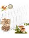 Słoiki 3000ml 3l na ogórki soki suszone grzyby nalewki 60sztuk 100mm PZH