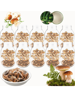 Słoiki 3000ml 3l na ogórki soki grzyby nalewki 10kpl zakrętki 100mm PZH