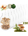 Słoiki 3000ml 3l na ogórki soki grzyby nalewki 30kpl zakrętki 100mm PZH