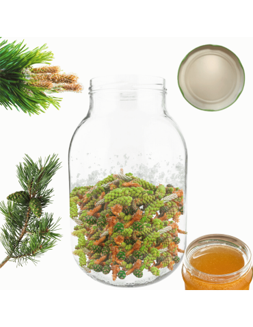 Słoik 4000ml 4l na ogórki soki cukinia suszone grzyby nalewki 1 sztuka 100mm