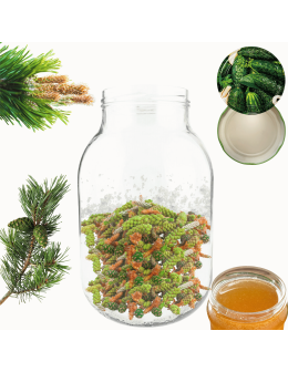 Słoik 4000ml 4l ogórki soki cukinia grzyby nalewki KOMPLET z POKRYWKĄ 100mm