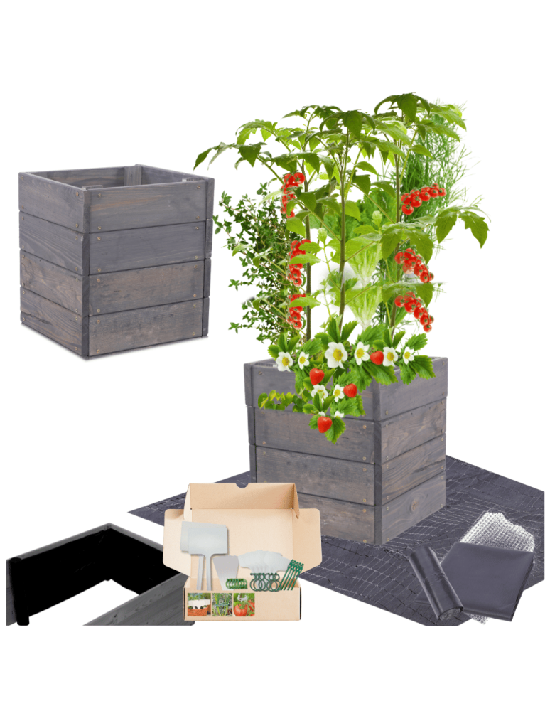 Uprawowe skrzynie ogrodowe- Warzywniaki- skrzynia do uprawy - Skrzynia na warzywa skrzynie na warzywniak inspekt donica grządka 36x33x30 - product b2b.wamar.biz 1