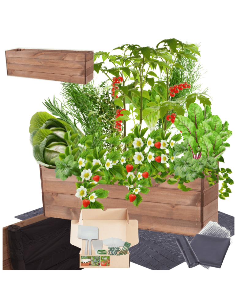 Uprawowe skrzynie ogrodowe- Warzywniaki- skrzynia do uprawy - Skrzynia na warzywa skrzynie na warzywniak inspekt donica grządka 36x120x30 - product b2b.wamar.biz 1