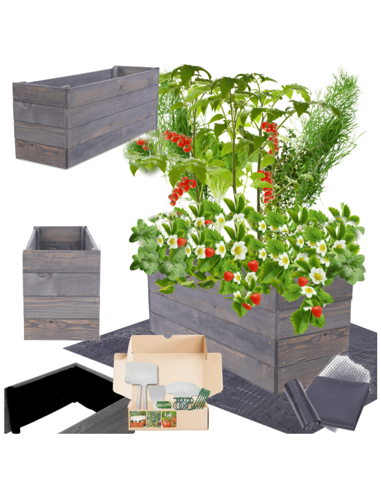 Uprawowe skrzynie ogrodowe- Warzywniaki- skrzynia do uprawy - Skrzynia na warzywa skrzynie na warzywniak inspekt donica grządka 36x83x30 - product b2b.wamar.biz 1