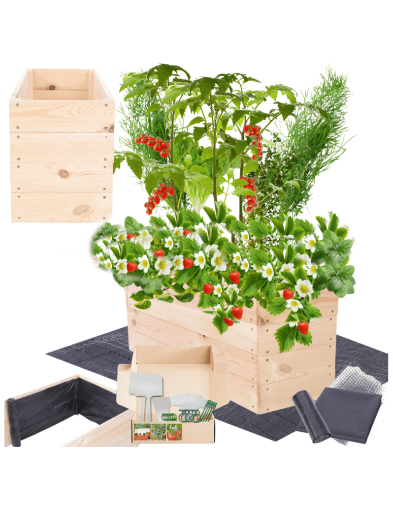 Uprawowe skrzynie ogrodowe- Warzywniaki- skrzynia do uprawy - Skrzynia na warzywa skrzynie na warzywniak inspekt donica grządka 36x93x30 - product b2b.wamar.biz 1