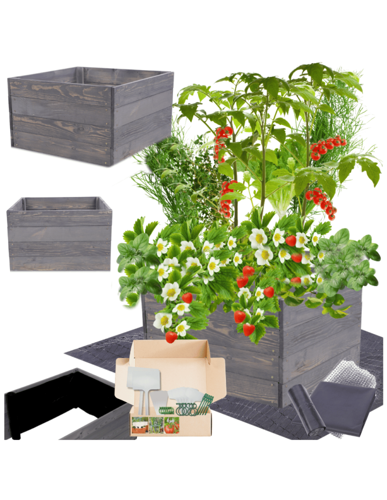 Uprawowe skrzynie ogrodowe- Warzywniaki- skrzynia do uprawy - Skrzynia na warzywa skrzynie na warzywniak inspekt donica grządka 36x93x60 - product b2b.wamar.biz 1