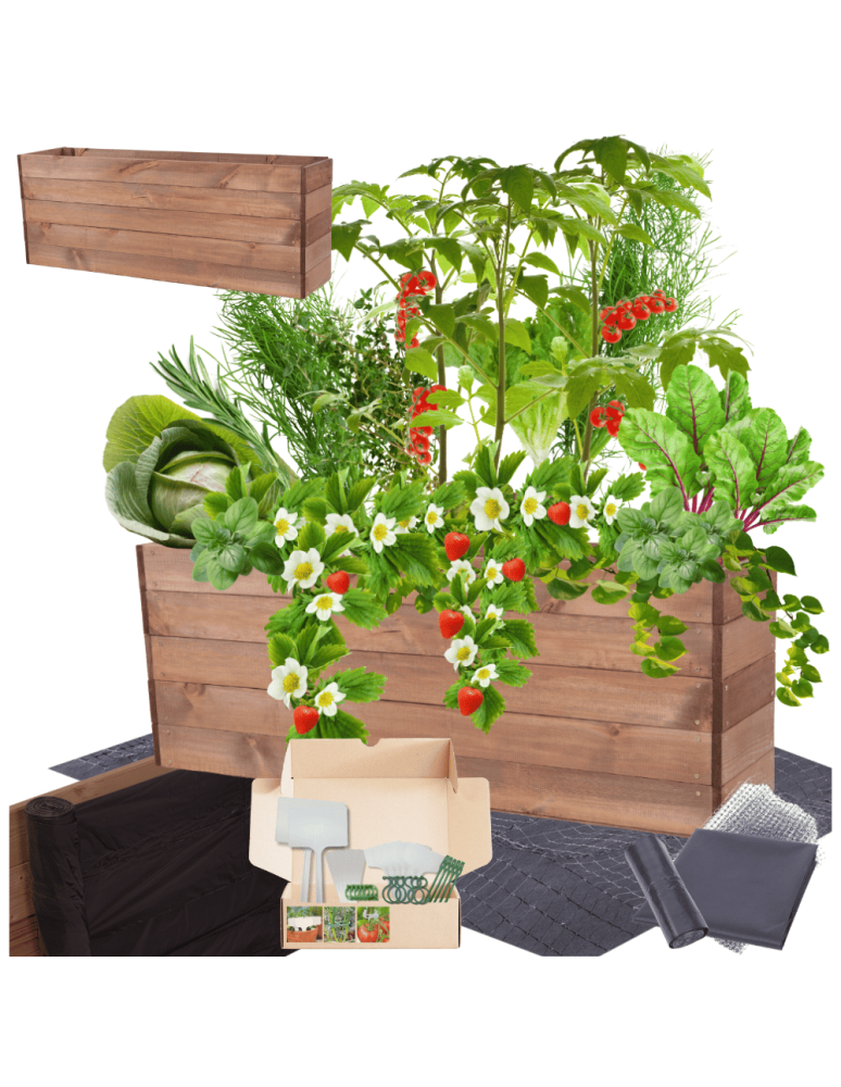 Uprawowe skrzynie ogrodowe- Warzywniaki- skrzynia do uprawy - Skrzynia na warzywa skrzynie na warzywnik inspekt donica grządka 45x120x30 - product b2b.wamar.biz 1