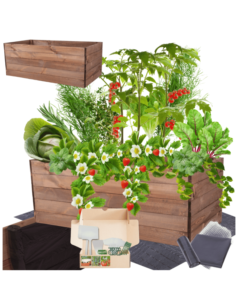 Uprawowe skrzynie ogrodowe- Warzywniaki- skrzynia do uprawy - Skrzynia na warzywa skrzynie na warzywnik inspekt donica grządka 45x120x60 - product b2b.wamar.biz 1