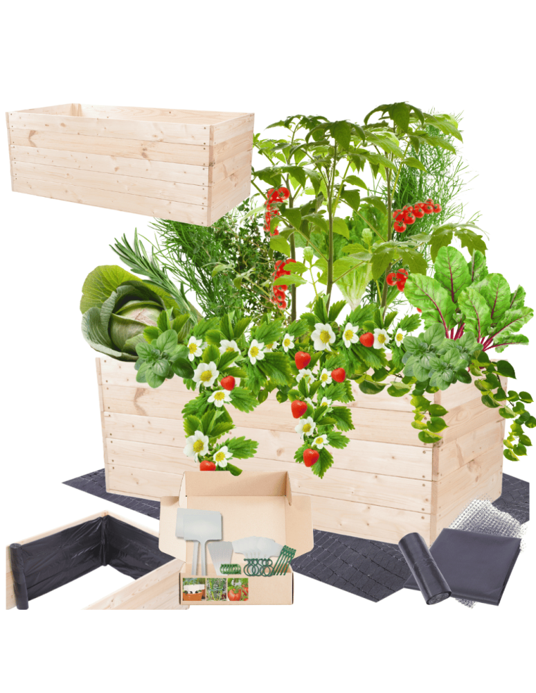 Uprawowe skrzynie ogrodowe- Warzywniaki- skrzynia do uprawy - Skrzynia na warzywa skrzynie na warzywnik inspekt donica grządka 45x120x60 - product b2b.wamar.biz 1