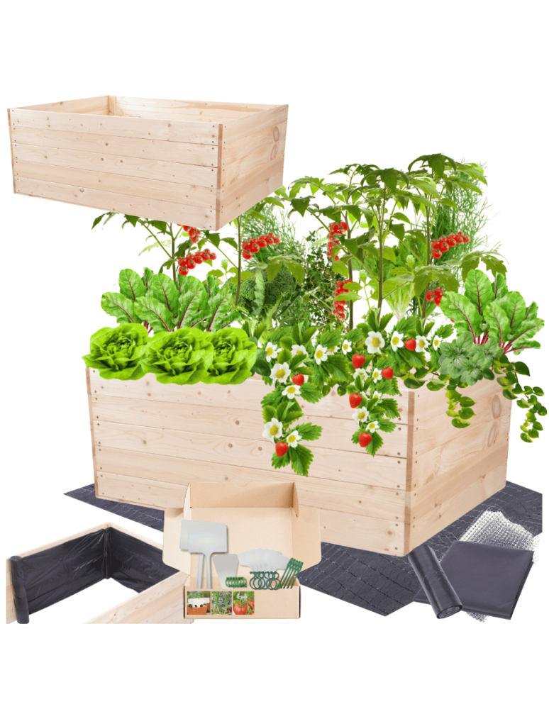 Uprawowe skrzynie ogrodowe- Warzywniaki- skrzynia do uprawy - Skrzynia na warzywa skrzynie na warzywnik inspekt donica grządka 45x120x100 - product b2b.wamar.biz 1