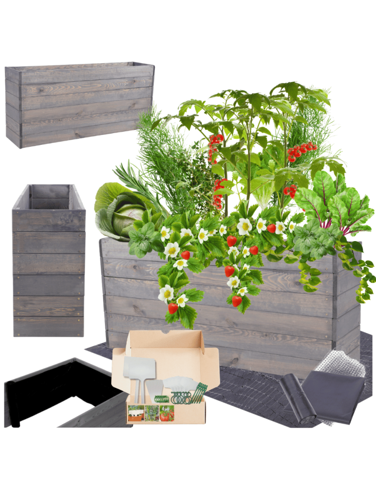 Uprawowe skrzynie ogrodowe- Warzywniaki- skrzynia do uprawy - Skrzynia na warzywa skrzynie na warzywniak inspekt donica grządka 54x120x30 - product b2b.wamar.biz 1