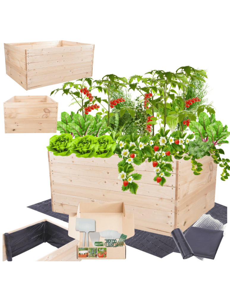 Uprawowe skrzynie ogrodowe- Warzywniaki- skrzynia do uprawy - Skrzynia na warzywa skrzynie na warzywniak inspekt donica grządka 54x120x90 - product b2b.wamar.biz 1