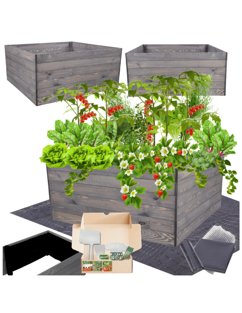 Uprawowe skrzynie ogrodowe- Warzywniaki- skrzynia do uprawy - Skrzynia na warzywa skrzynie na warzywniak inspekt donica grządka 54x120x117 - product b2b.wamar.biz 1