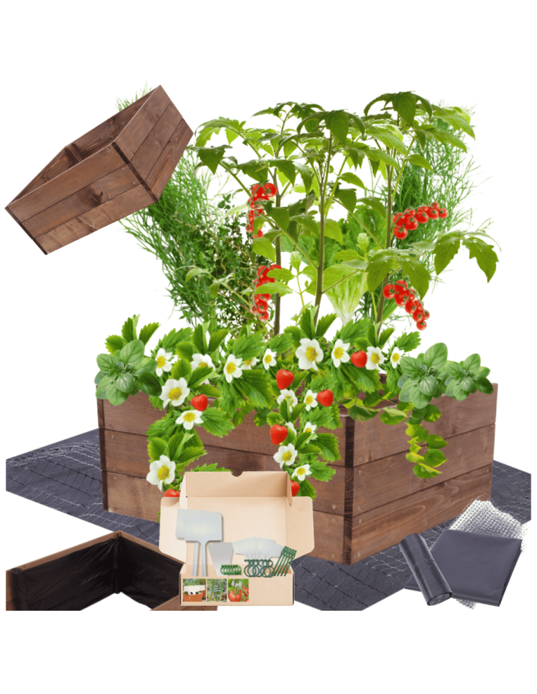 Uprawowe skrzynie ogrodowe- Warzywniaki- skrzynia do uprawy - Skrzynia na warzywa skrzynie na warzywniak inspekt donica grządka 27x63x60 - product b2b.wamar.biz 1
