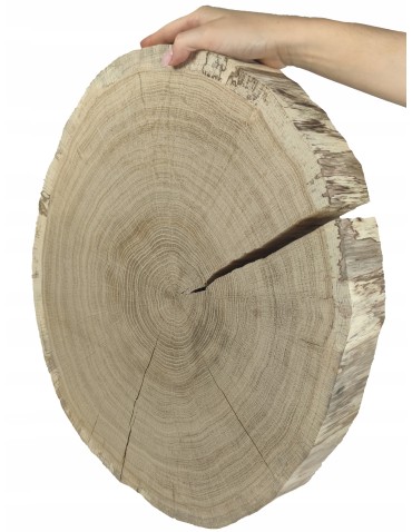 PLASTER DREWNA krążek 40-45cm gr 5,0 DĄB na stół - produkt 2