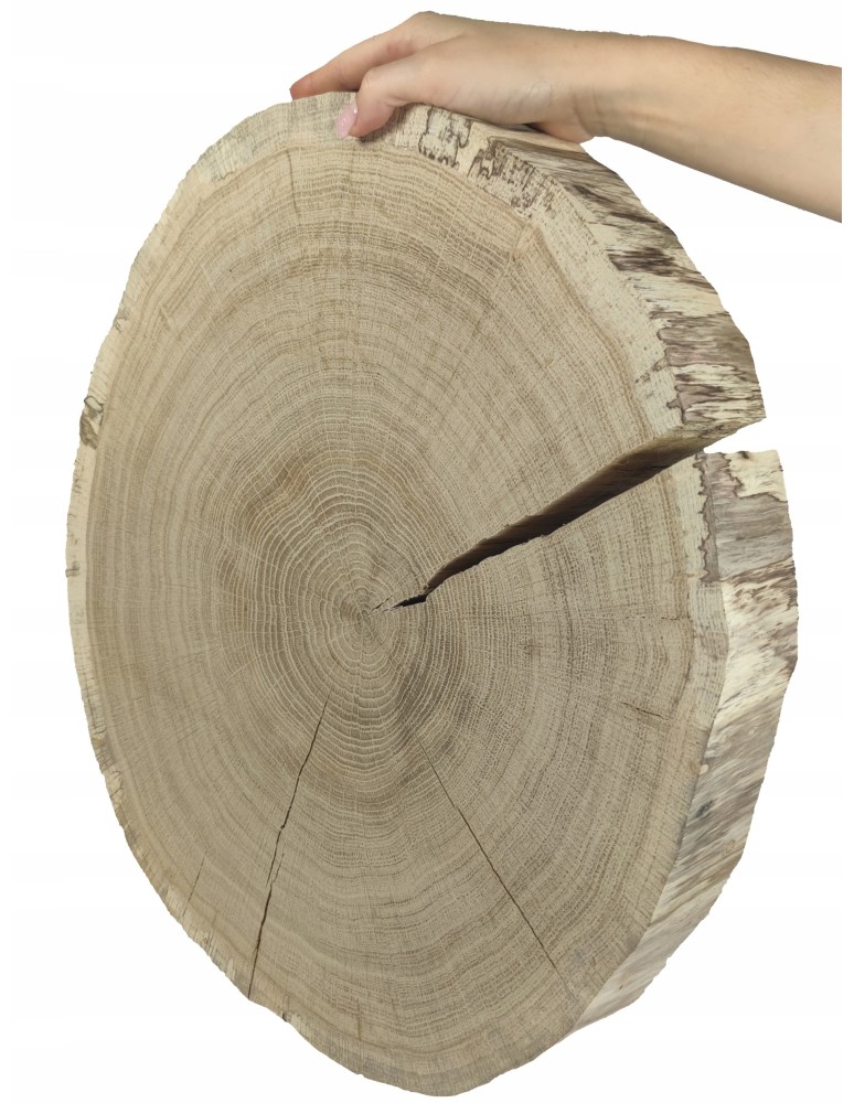 Plastry Okrągłe - PLASTER DREWNA krążek 40-45cm gr 5,0 DĄB na stół - product b2b.wamar.biz 2