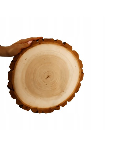 PLASTER DREWNA 20-25 cm Z KORĄ krążek dewniany