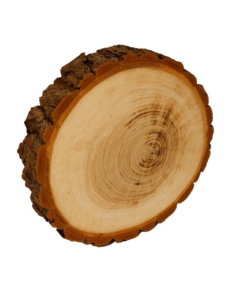 Plastry Okrągłe - PLASTER DREWNA 20-25 cm Z KORĄ krążek dewniany - produkt b2b.wamar.biz 3