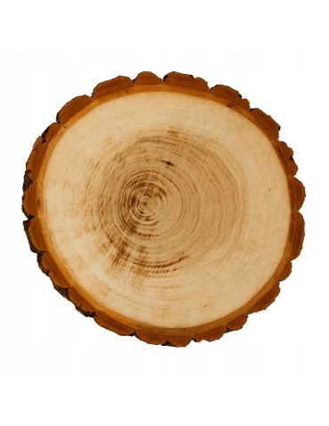 Plastry Okrągłe - PLASTER DREWNA 20-25 cm Z KORĄ krążek dewniany - produkt 5