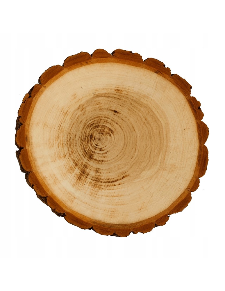 Plastry Okrągłe - PLASTER DREWNA 20-25 cm Z KORĄ krążek dewniany - produkt b2b.wamar.biz 5