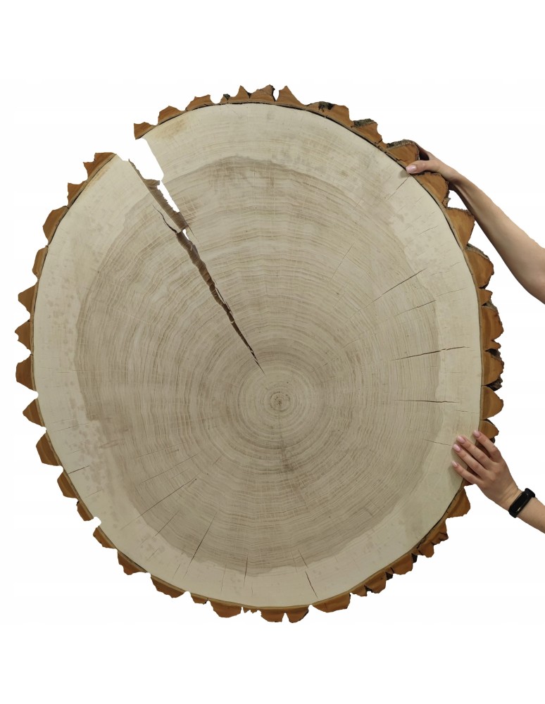 Plastry Okrągłe - PLASTER DREWNA TOPOLI BLAT NA STOLIK KAWOWY 090505 - product b2b.wamar.biz 1